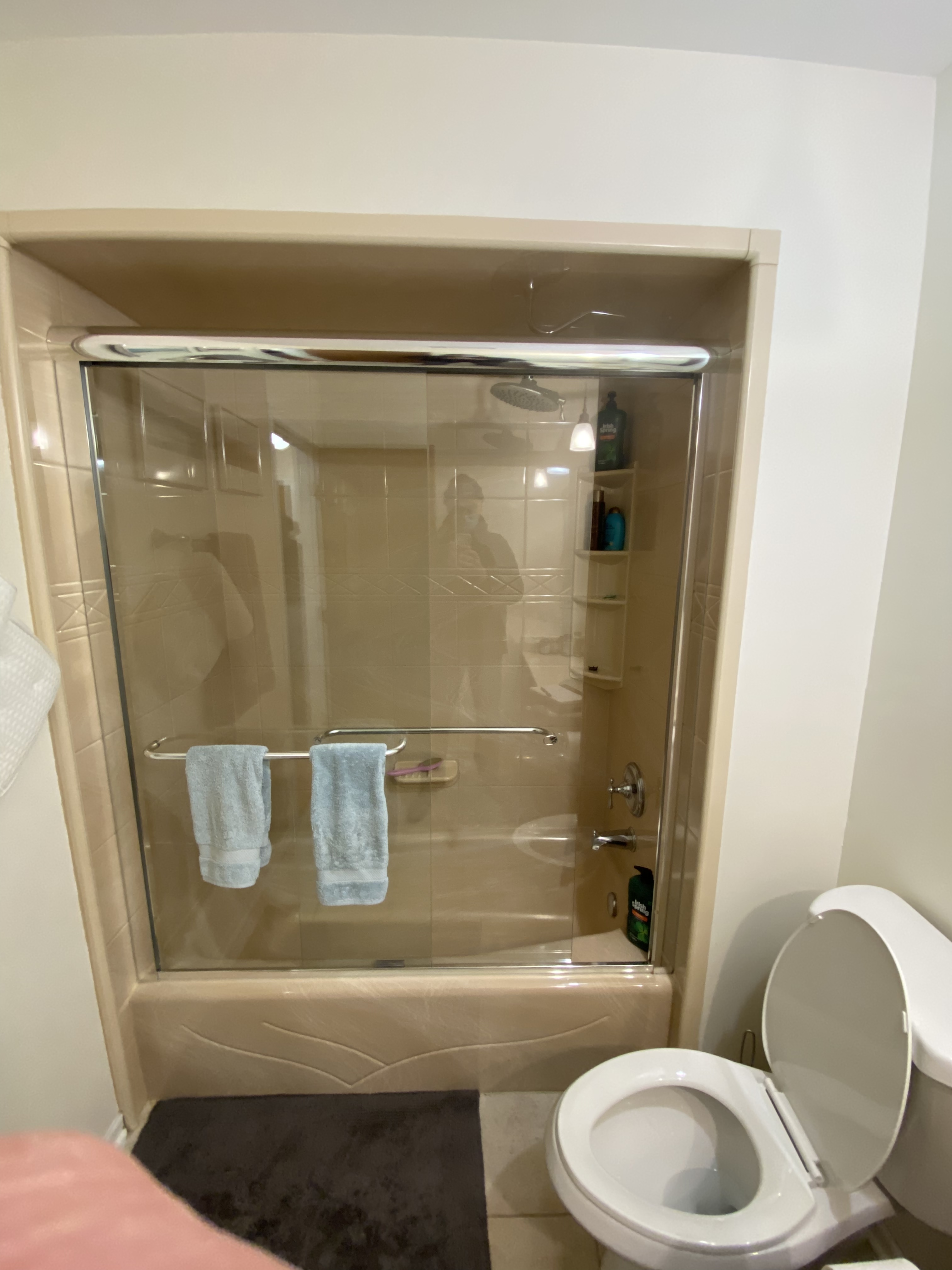 Bathroom before renovation